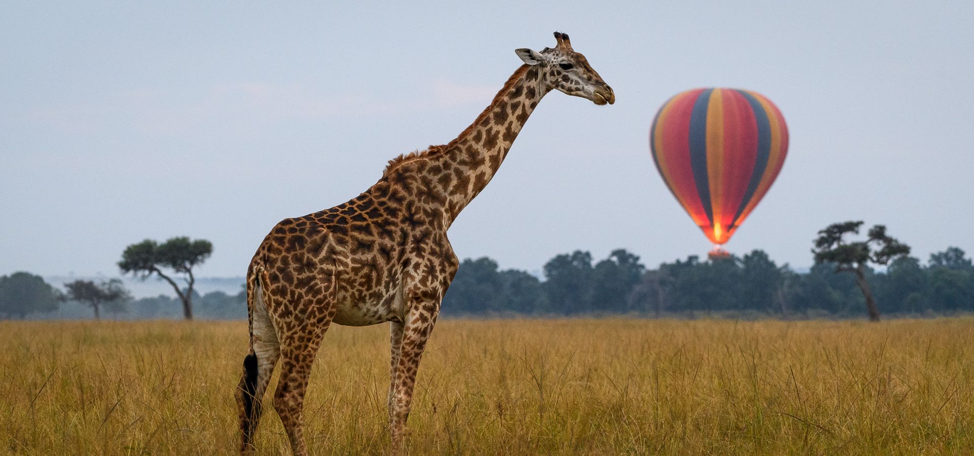 we offer Hot Air Ballooning over the Masai Mara